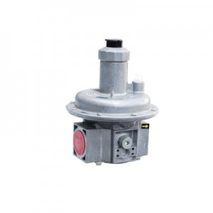 500mbar Dung និយតករឧស្ម័ននិងសម្ពាធ Pmax