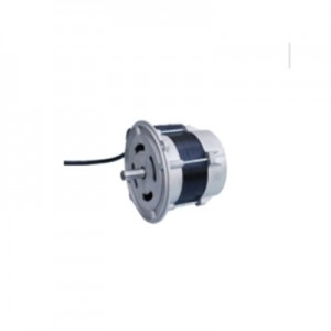 riello motors